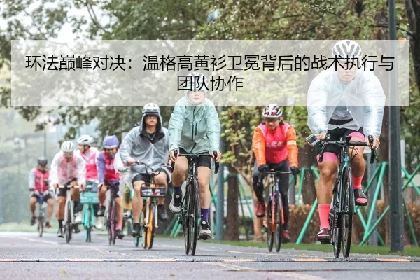 环法巅峰对决：温格高黄衫卫冕背后的战术执行与团队协作