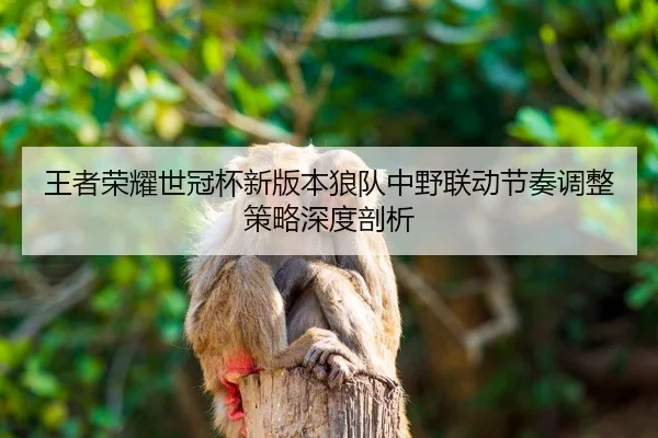 wang-zhe-rong-yao-shi-guan-bei-xin-ban-ben-lang-dui-zhong-ye-lian-dong-jie-zou-tiao-zheng-ce-lve-shen-du-pou-xi-2-605.jpg
