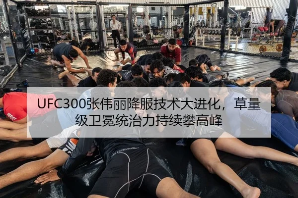 UFC300张伟丽降服技术大进化，草量级卫冕统治力持续攀高峰