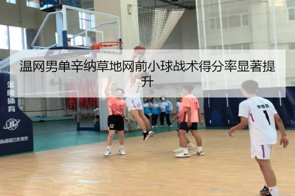 温网男单辛纳草地网前小球战术得分率显著提升